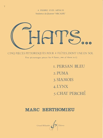Chats Visuel